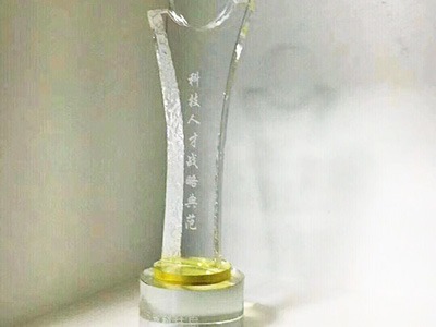 萬中萬科技人才戰(zhàn)略典范獎(jiǎng)